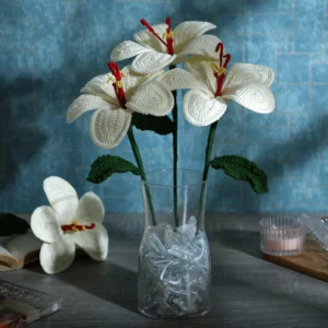 Crochet | White | Trendy Stylish Handmade Crochet Flower Decor - Aesthetic Home Decor Piece | C5